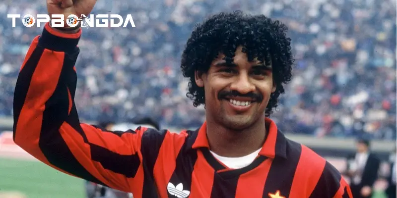 Frank Rijkaard: Huyền thoại Hà Lan và hành trình dấu ấn vĩnh cửu 1 frank-rijkaard-1
